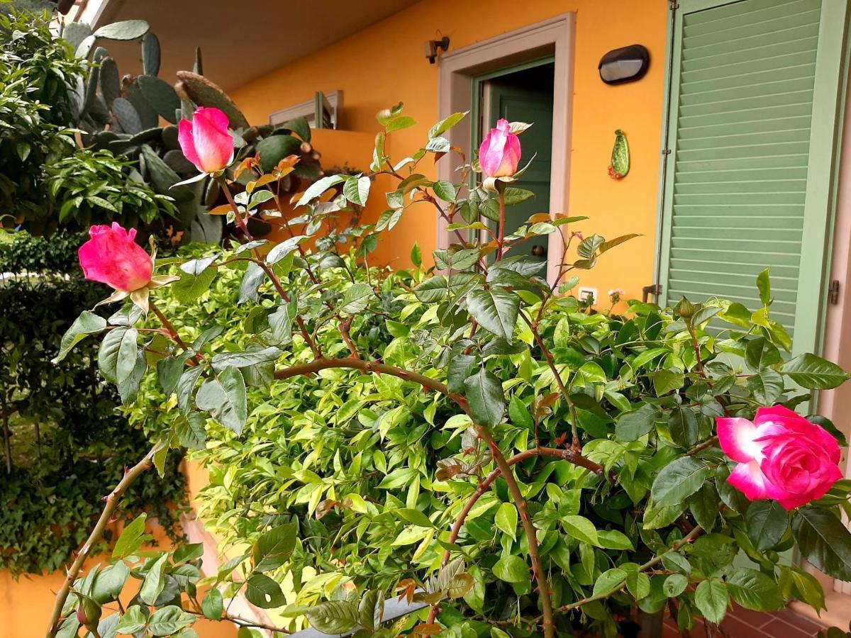 Bed and Breakfast Casa Marta Massa  Exterior foto